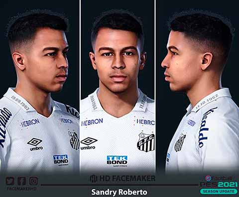 PES 2021 Face Sandry Roberto